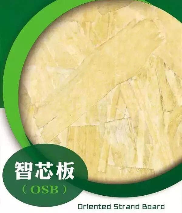 ѩ����о��-���ʮ��Ʒ��-OSB�����W�ɰ�