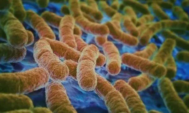 ѩ��������ù����ʲô����ʲôҪʹ�ÿ�����ù����