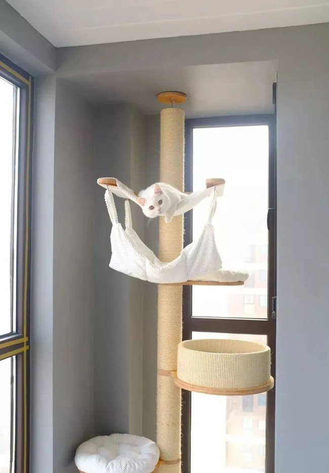 ���Ќ�������b���Լ��ļ������@Щ�����܎��톢�l(f��)��