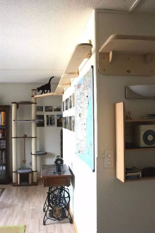 ���Ќ�������b���Լ��ļ��أ��@Щ�����܎��톢�l(f��)��