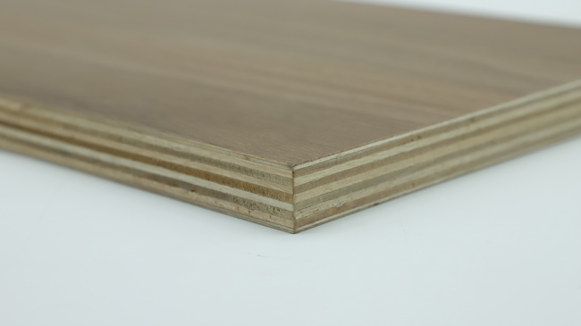 �����ʲô�z