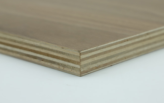 ���Ӱ�����c��ʲô��