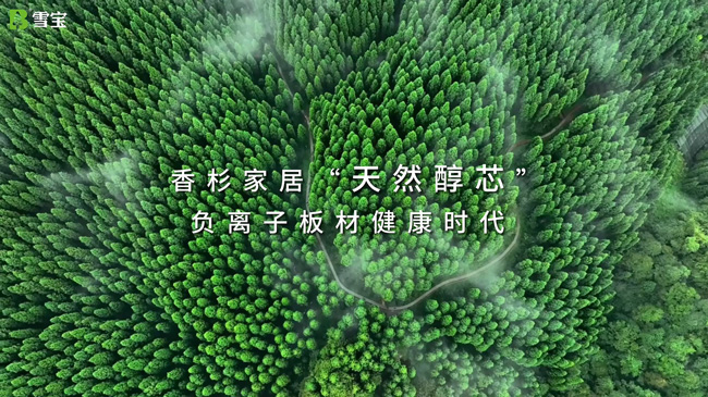 ��ʲôҪ�I��(sh��)ľ��������¹�