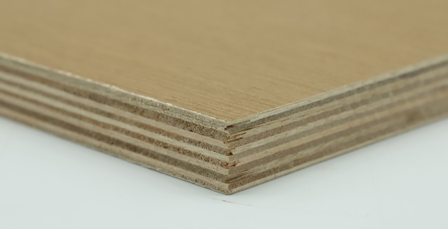 �Ҿ߰���ʲô����ʲôҪ�x��Ҿ߰���