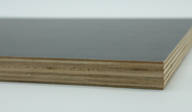 ���B(t��i)��ĺ͌�(sh��)ľ�w�����Ă�(g��)����