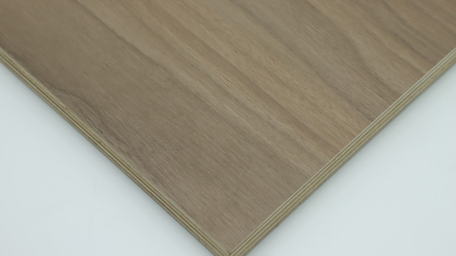 ѩ�����Ӱ�