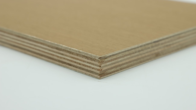 �b�޹�����ʲô�����